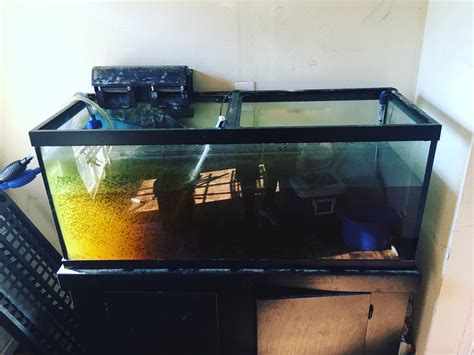 Craigslist aquariums for sale. Things To Know About Craigslist aquariums for sale. 
